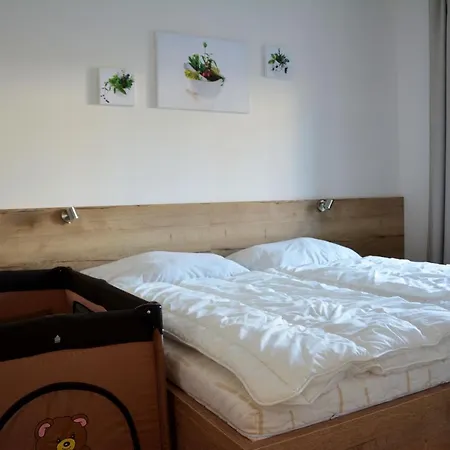 Apartment Frymburk-lipno G10